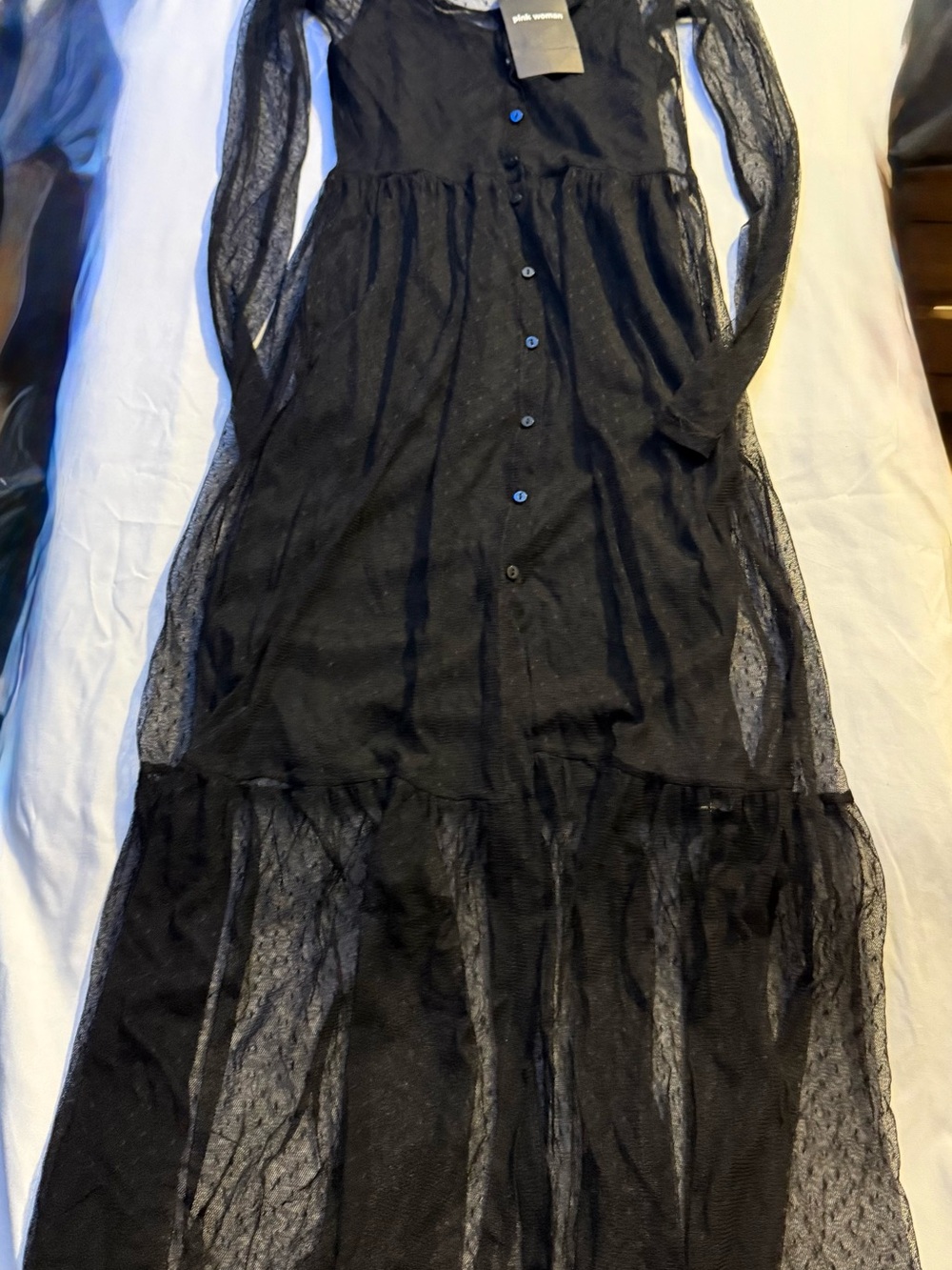 Sheer Black Button-Front Maxi Dress